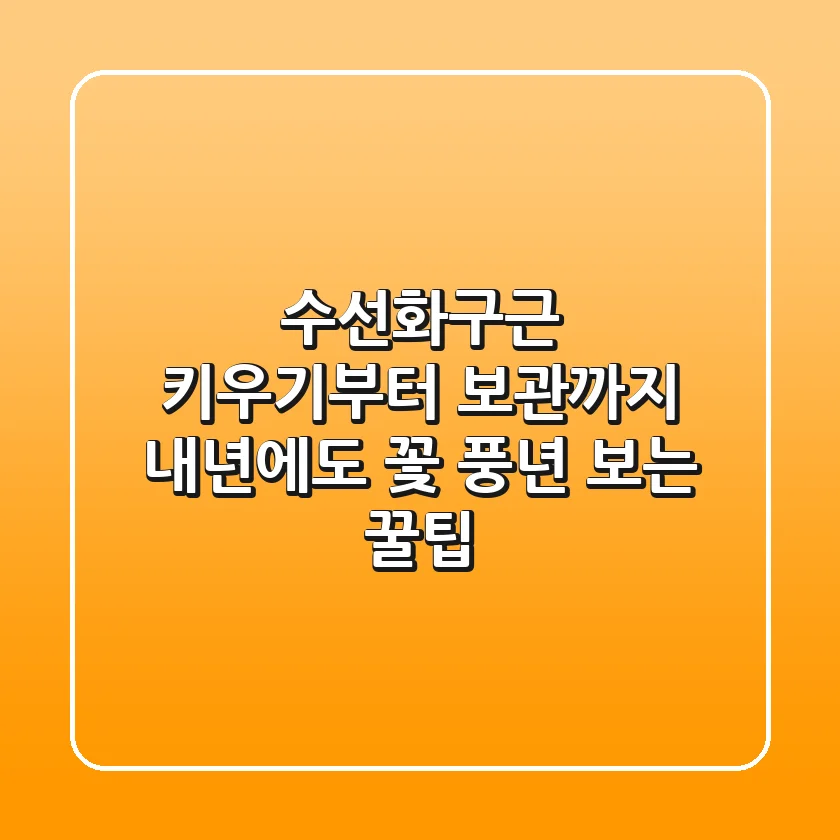 수선화구근 키우기부터 보관까지, 내년에도 꽃 풍년 보는 꿀팁!