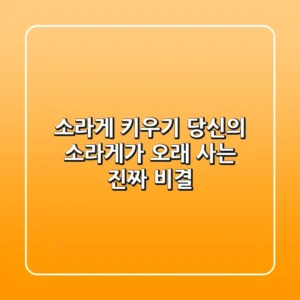 소라게 키우기, 당신의 소라게가 오래 사는 진짜 비결
