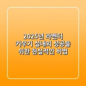 2025년 라벤더 키우기: 실내외 성공을 위한 현실적인 비법