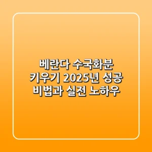베란다 수국화분 키우기: 2025년 성공 비법과 실전 노하우