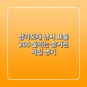 삼각도래, 낚시 효율 200% 올리는 숨겨진 비밀 병기!