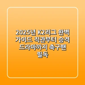 2025년 K2리그 완벽 가이드: 직관부터 승격 드라마까지! - 축구팬 필독