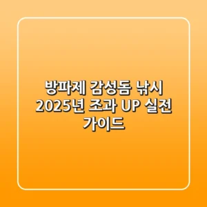 방파제 감성돔 낚시, 2025년 조과 UP 실전 가이드