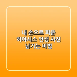 내 손으로 피운 히야시스, 인생 사진 남기는 비법
