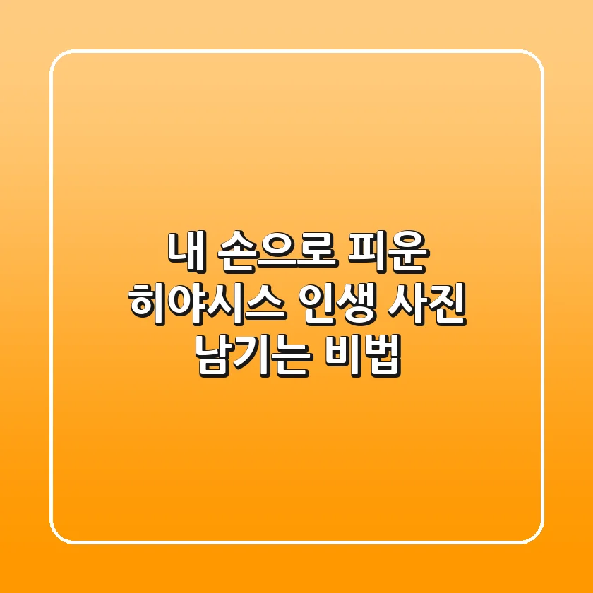 내 손으로 피운 히야시스, 인생 사진 남기는 비법