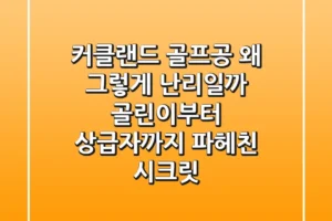 커클랜드 골프공, 왜 그렇게 난리일까? 골린이부터 상급자까지 파헤친 시크릿!