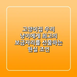 고양이집, 우리 냥이에게 최고의 보금자리를 선물하는 현실 조언