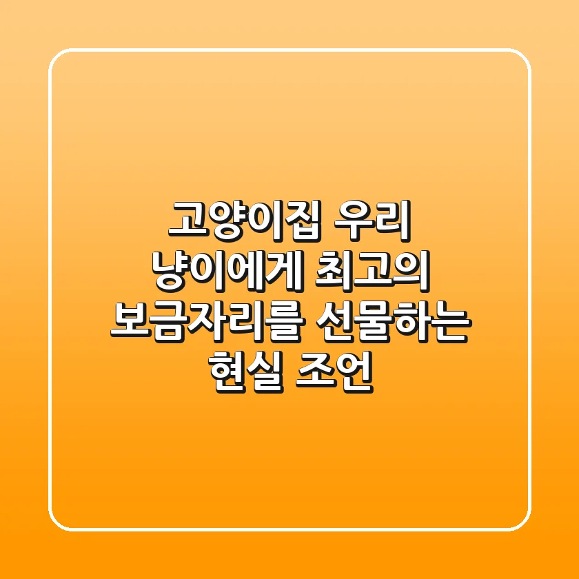 고양이집, 우리 냥이에게 최고의 보금자리를 선물하는 현실 조언