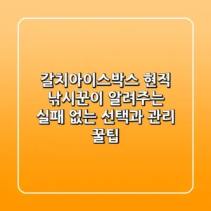 갈치아이스박스, 현직 낚시꾼이 알려주는 실패 없는 선택과 관리 꿀팁