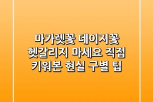 마가렛꽃 데이지꽃, 헷갈리지 마세요! 직접 키워본 현실 구별 팁