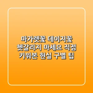 마가렛꽃 데이지꽃, 헷갈리지 마세요! 직접 키워본 현실 구별 팁