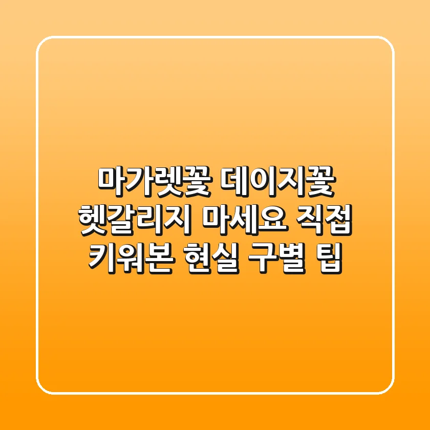 마가렛꽃 데이지꽃, 헷갈리지 마세요! 직접 키워본 현실 구별 팁