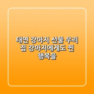 태연 강아지 선물, 우리 집 강아지에게도 ‘찐’ 행복을!