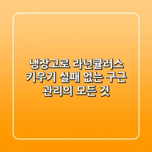 냉장고로 라넌큘러스 키우기, 실패 없는 구근 관리의 모든 것