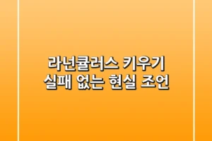 라넌큘러스 키우기, 실패 없는 현실 조언!