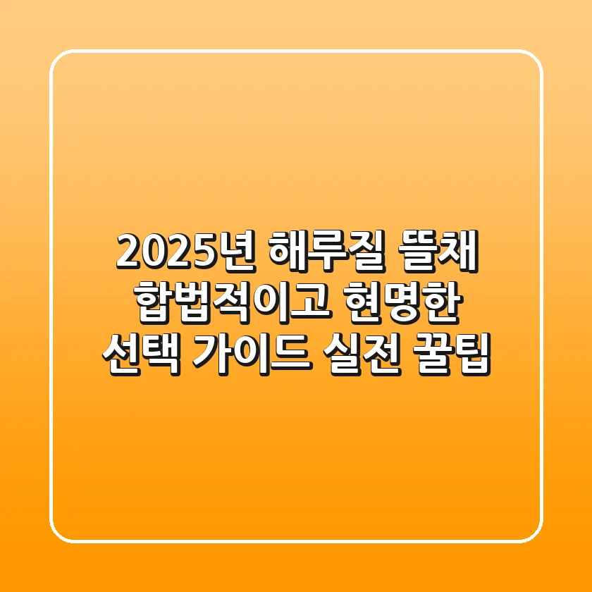 2025년 해루질 뜰채, 합법적이고 현명한 선택 가이드 (실전 꿀팁)