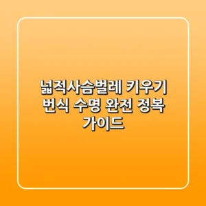 넓적사슴벌레 키우기, 번식, 수명 완전 정복 가이드