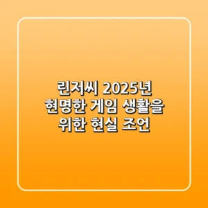린저씨, 2025년 현명한 게임 생활을 위한 현실 조언