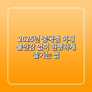2025년 중국겜, 이제 불안감 없이 현명하게 즐기는 법