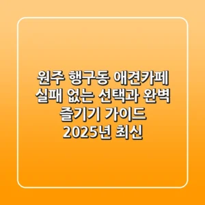 원주 행구동 애견카페, 실패 없는 선택과 완벽 즐기기 가이드 (2025년 최신)