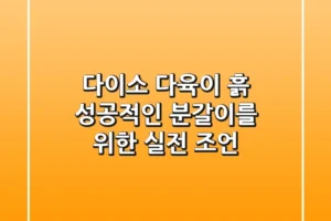 다이소 다육이 흙, 성공적인 분갈이를 위한 실전 조언