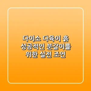 다이소 다육이 흙, 성공적인 분갈이를 위한 실전 조언