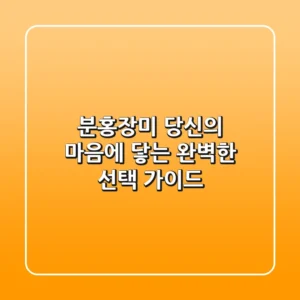 분홍장미, 당신의 마음에 닿는 완벽한 선택 가이드