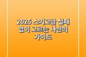 2025 스키고글, 실패 없이 고르는 나만의 가이드