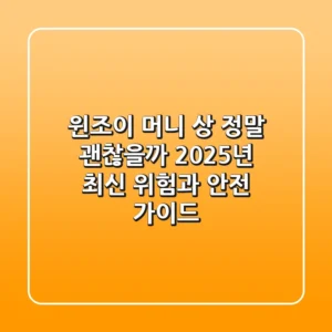 윈조이 머니 상, 정말 괜찮을까? 2025년 최신 위험과 안전 가이드