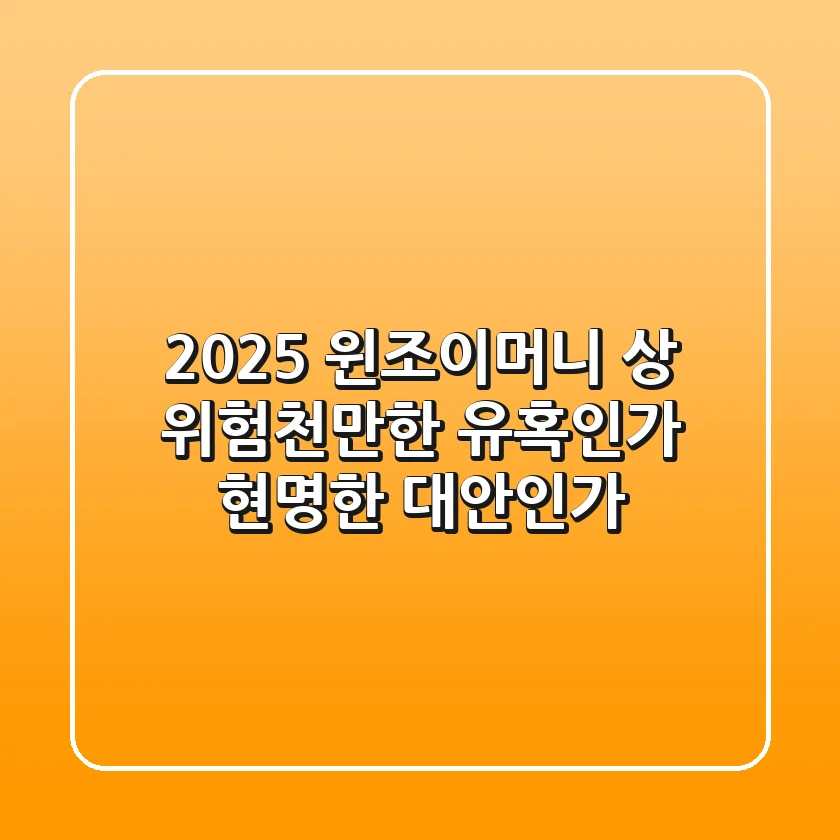 2025 윈조이머니 상, 위험천만한 유혹인가 현명한 대안인가?