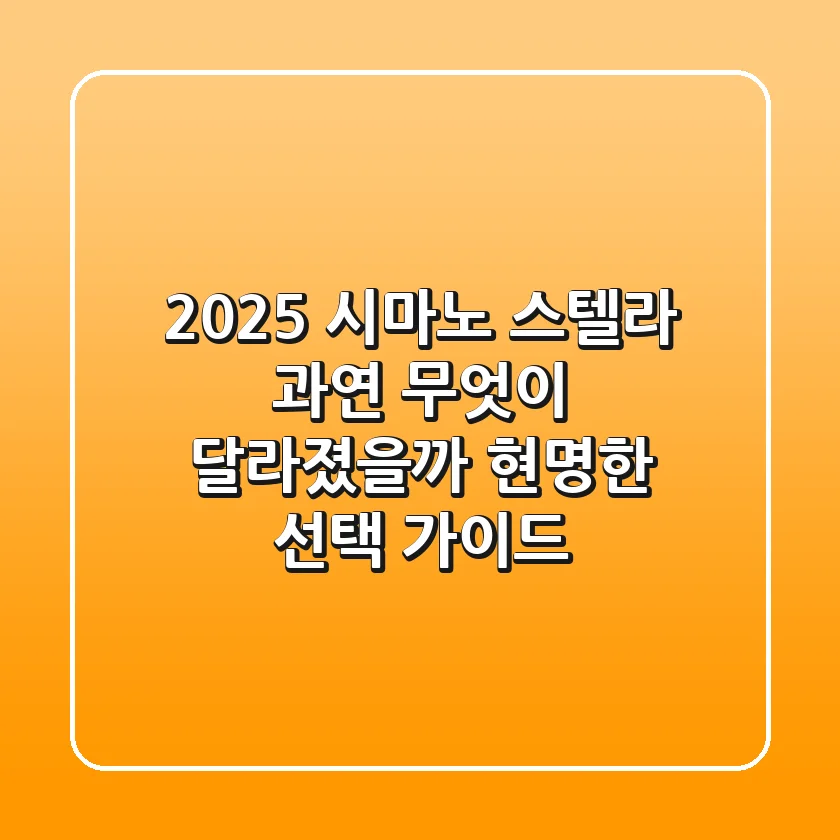 2025 시마노 스텔라, 과연 무엇이 달라졌을까? 현명한 선택 가이드